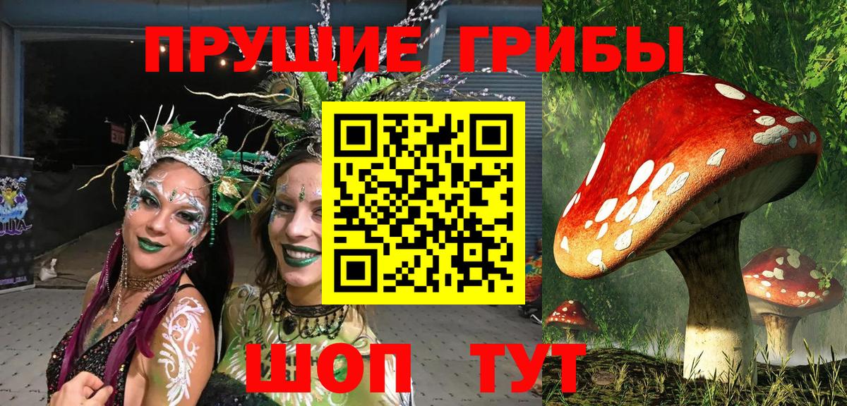Галлюциногенные грибы прущие грибы  Вход с VPN  наркошоп  Магадан 