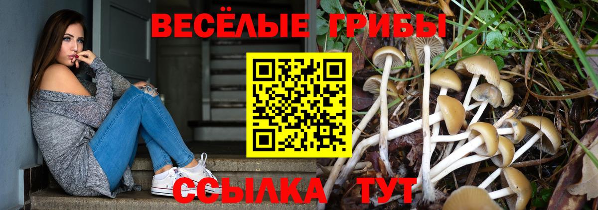 Псилоцибиновые грибы ЛСД Магадан